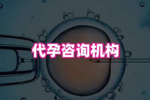 杭州助孕网 1