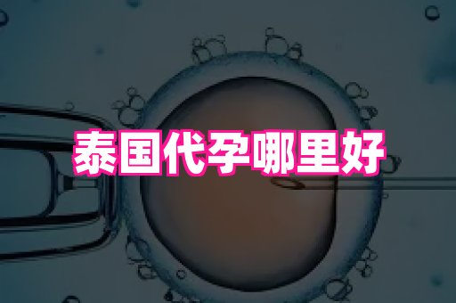杭州助孕网 1