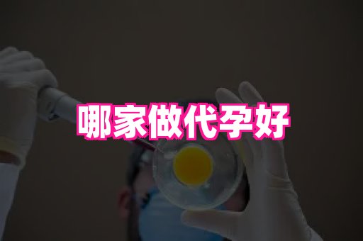 杭州助孕网 2