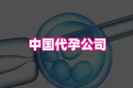 杭州助孕网 3