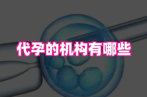 杭州助孕网 3
