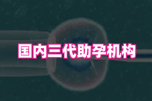 杭州助孕网 4