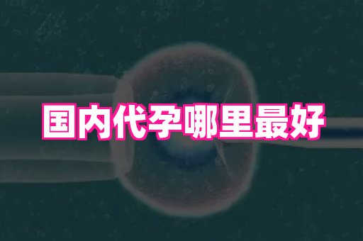 杭州助孕网 4